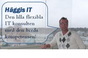 IT på det mindre företaget